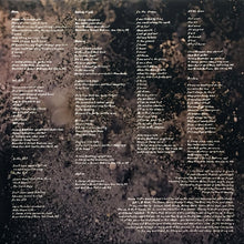 Load image into Gallery viewer, S. CAREY - ALL WE GROW ( 12" RECORD )