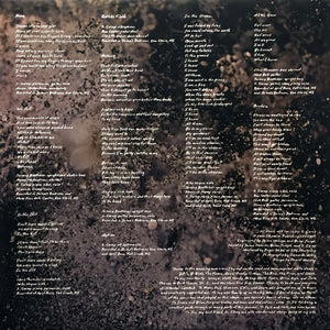 S. CAREY - ALL WE GROW ( 12" RECORD )