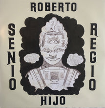 Load image into Gallery viewer, SUFJAN STEVENS - THE AGE OF ADZ ( 12" RECORD )