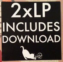 Load image into Gallery viewer, SUFJAN STEVENS - THE AGE OF ADZ ( 12" RECORD )