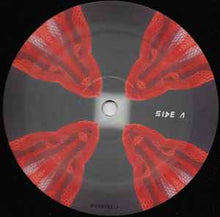 Load image into Gallery viewer, Les Savy Fav – Root For Ruin