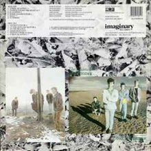 Load image into Gallery viewer, The Chameleons – Here Today... Gone Tomorrow