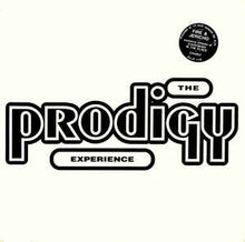 Load image into Gallery viewer, PRODIGY - EXPERIENCE ( 12" RECORD )