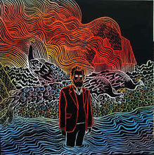 Load image into Gallery viewer, IRON & WINE - KISS EACH OTHER CLEAN ( 12" RECORD )