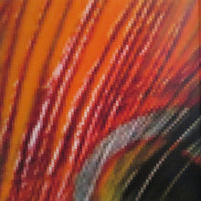 Load image into Gallery viewer, IRON & WINE - KISS EACH OTHER CLEAN ( 12" RECORD )