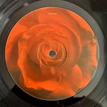 Load image into Gallery viewer, The Divine Comedy – Casanova