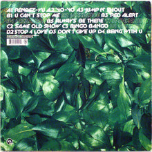 Load image into Gallery viewer, BASEMENT JAXX - REMEDY ( 12" RECORD )