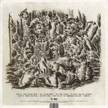 Load image into Gallery viewer, Cass McCombs – Humor Risk