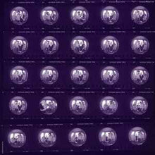 Load image into Gallery viewer, Smashing Pumpkins* – Gish