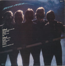 Load image into Gallery viewer, Brush Arbor – Hero