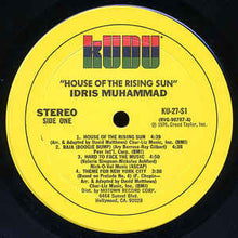 Load image into Gallery viewer, Dris Muhammad – House Of The Rising Sun