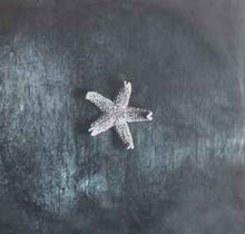 Load image into Gallery viewer, The Church – Starfish