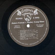 Load image into Gallery viewer, JAMES COTTON - MIGHTY LONG TIME ( 12" RECORD )