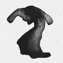 Load image into Gallery viewer, YEASAYER - FRAGRANT WORLD ( 12" RECORD )
