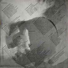 Load image into Gallery viewer, Sonic Youth – Bad Moon Rising