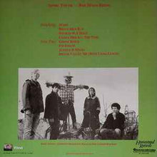Load image into Gallery viewer, Sonic Youth – Bad Moon Rising