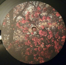 Load image into Gallery viewer, REMEMBER REMEMBER - THE QUICKENING ( 12" RECORD )