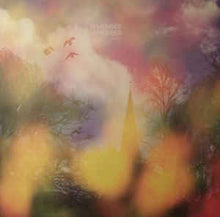 Load image into Gallery viewer, REMEMBER REMEMBER - THE QUICKENING ( 12" RECORD )
