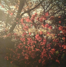 Load image into Gallery viewer, REMEMBER REMEMBER - THE QUICKENING ( 12" RECORD )