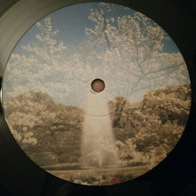 Load image into Gallery viewer, REMEMBER REMEMBER - THE QUICKENING ( 12" RECORD )