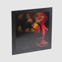 Load image into Gallery viewer, FLYING LOTUS - UNTIL THE QUIET COMES ( 12" RECORD )