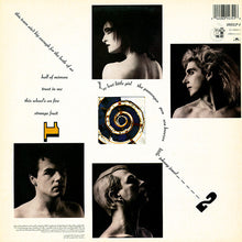 Load image into Gallery viewer, Siouxsie & The Banshees – Through The Looking Glass