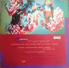 Load image into Gallery viewer, Belly – Star