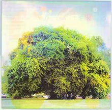 Load image into Gallery viewer, Yo La Tengo – Fade