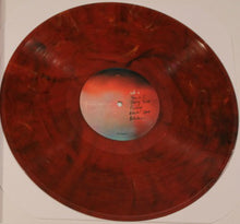 Load image into Gallery viewer, LOCAL NATIVES - HUMMINGBIRD ( 12" RECORD )