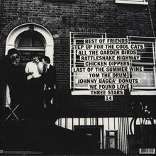 Load image into Gallery viewer, PALMA VIOLETS - 180 ( 12" RECORD )