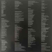 Load image into Gallery viewer, Yeah Yeah Yeahs – Mosquito