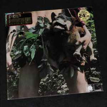 Load image into Gallery viewer, Fleetwood Mac - Mr. Wonderful (LP, Album)