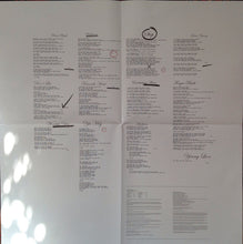 Load image into Gallery viewer, VAMPIRE WEEKEND - MODERN VAMPIRES OF THE CITY ( 12" RECORD )