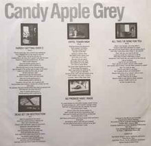 Load image into Gallery viewer, Hüsker Dü – Candy Apple Grey