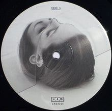 Load image into Gallery viewer, THE NATIONAL - TROUBLE WILL FIND ME ( 12" RECORD )