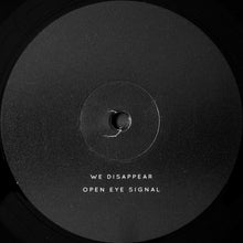 Load image into Gallery viewer, JON HOPKINS - IMMUNITY ( 12" RECORD )