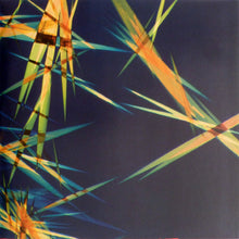 Load image into Gallery viewer, JON HOPKINS - IMMUNITY ( 12" RECORD )