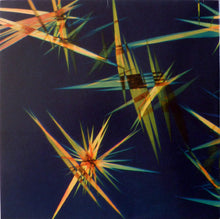 Load image into Gallery viewer, JON HOPKINS - IMMUNITY ( 12" RECORD )