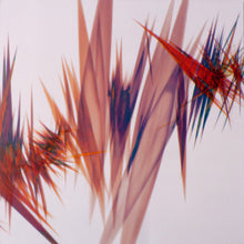 Load image into Gallery viewer, JON HOPKINS - IMMUNITY ( 12" RECORD )