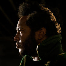 Load image into Gallery viewer, THUNDERCAT - APOCALYPSE ( 12" RECORD )