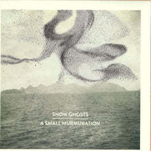Load image into Gallery viewer, SNOW GHOSTS - A SMALL MURMURATION ( 12" RECORD )