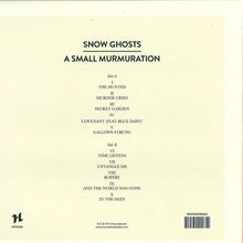 Load image into Gallery viewer, SNOW GHOSTS - A SMALL MURMURATION ( 12" RECORD )