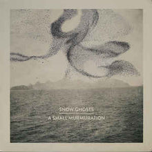Load image into Gallery viewer, SNOW GHOSTS - A SMALL MURMURATION ( 12" RECORD )
