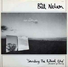 Load image into Gallery viewer, Bill Nelson - Quit Dreaming And Get On The Beam / Sounding The Ritual Echo (Atmospheres For Dreaming) (2xLP, Album)