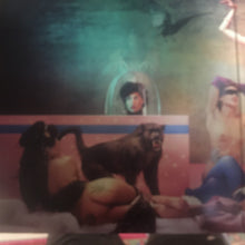 Load image into Gallery viewer, JONATHAN WILSON - FANFARE ( 12" RECORD )