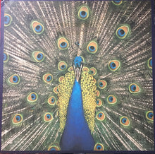 Load image into Gallery viewer, The Bluetones – Expecting To Fly