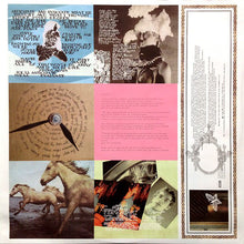 Load image into Gallery viewer, BLONDE REDHEAD - MISERY IS A BUTTERFLY ( 12" RECORD )