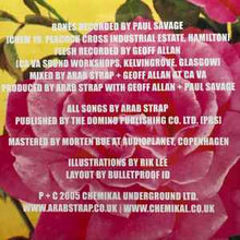Load image into Gallery viewer, Arab Strap – The Last Romance