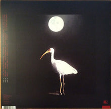 Load image into Gallery viewer, HAMILTON LEITHAUSER - BLACK HOURS ( 12" RECORD )