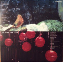 Load image into Gallery viewer, HAMILTON LEITHAUSER - BLACK HOURS ( 12" RECORD )